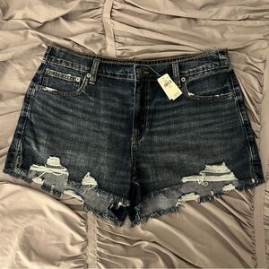 Aerie Daydream Denim Shorts